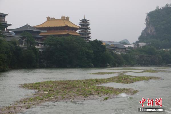 广西雨季来临 水葫芦入侵城市河道|河道|水葫芦