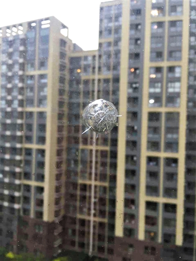 男孩偷买气枪 击碎邻楼多扇窗玻璃|小区|物业