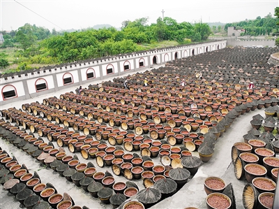 自酿火锅底料自然发酵的5000口豆瓣大缸(部分