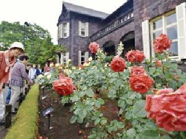 参观者们在欣赏玫瑰（图片来源：网页截图）