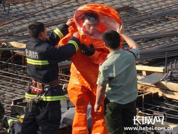 蜜蜂工地筑巢骚扰施工 保定消防武警解困境|