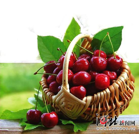 群樱大战再度打响 生鲜电商品牌和标准是关键