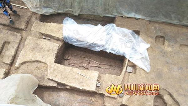 图片版权归原作者所有