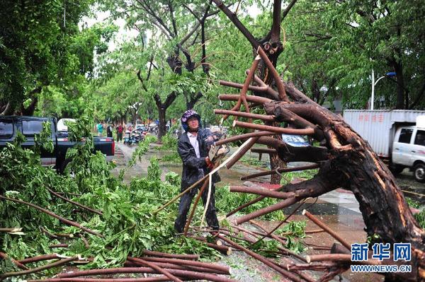 台风鲸鱼登陆海南|三亚市|三亚
