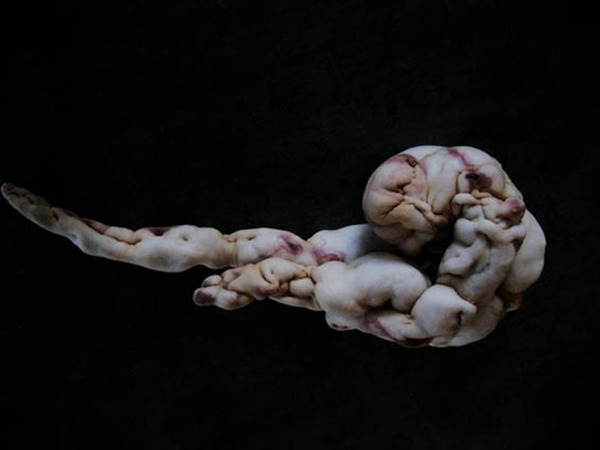 荷兰艺术家用二手丝袜创作怪诞人像(组图)|艺术