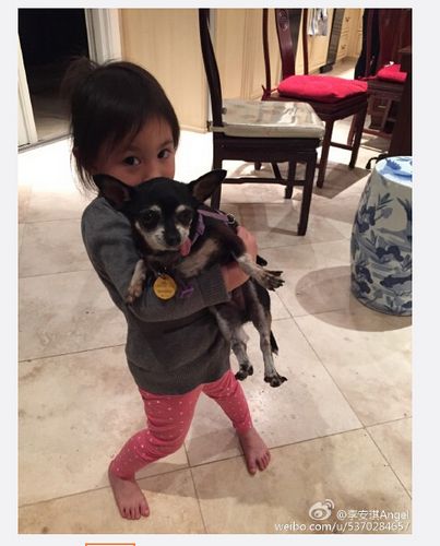李小鹏爱女光脚站地板上 怀抱小狗表情呆萌(图