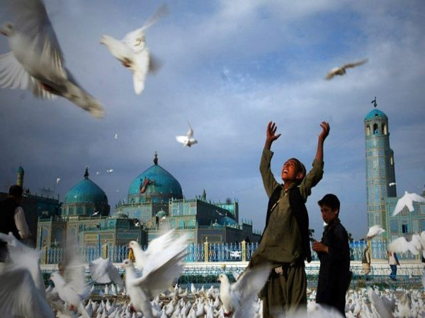 阿富汗塔利班头目为何神秘现身?|阿富汗|塔利班