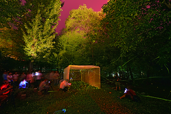 豫西大峡谷音乐节萤火虫放飞场景美轮美奂 上