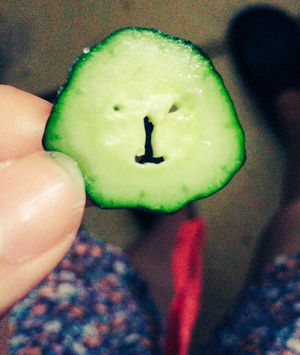 哼哼，我黄瓜兔子君来了