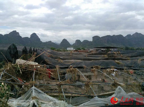 洪水冲后的连城受灾严重，满目疮痍。黄水林摄