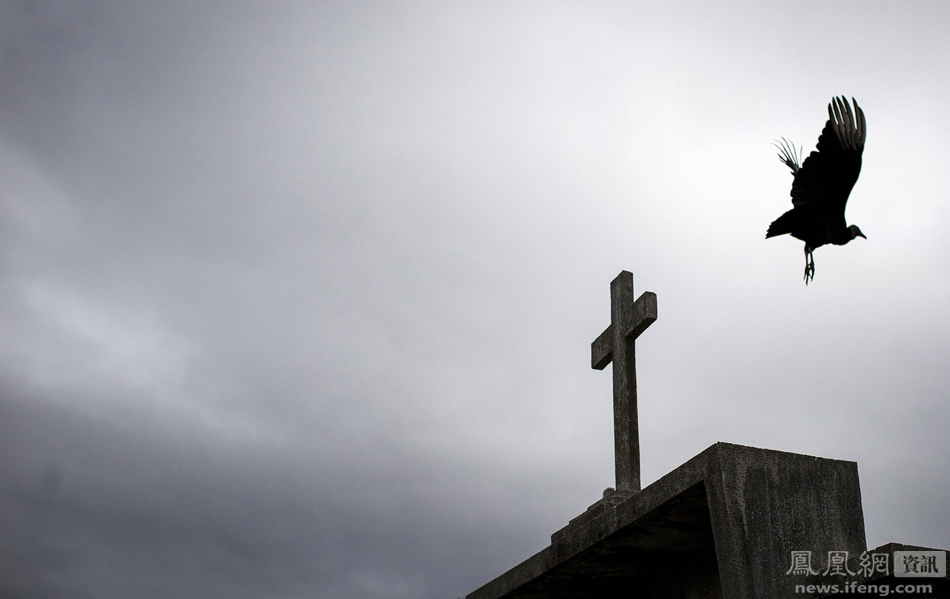 穷人死不起 腐败罪恶的人吃人的社会 青岛心理