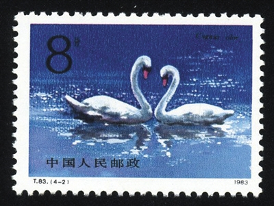 乘天鹅而去 挥别一片红|天鹅|小孩子