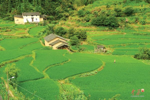 开化深山古村落