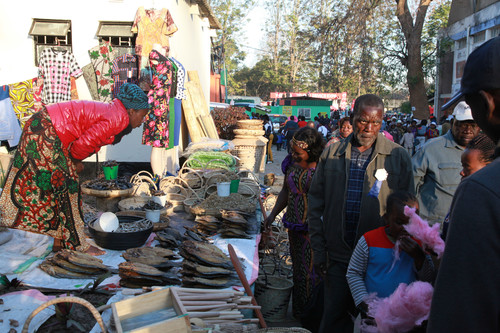 中国企业亮相赞比亚最悠久展览会|伊朗|赞比亚