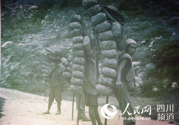 民国时期，向藏族地区运送藏茶的背夫。（图为翻拍旧照-王军-摄）