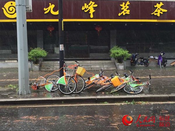 福州市区一片狼藉 邹家骅摄