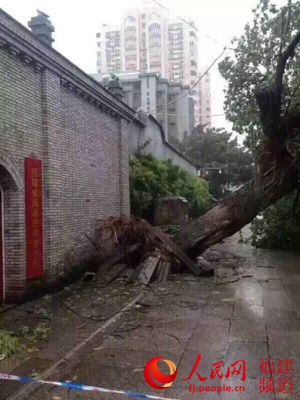 福州市区一片狼藉 林长生摄