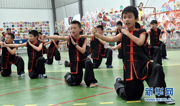 河北武术学校：传承与创新的力量