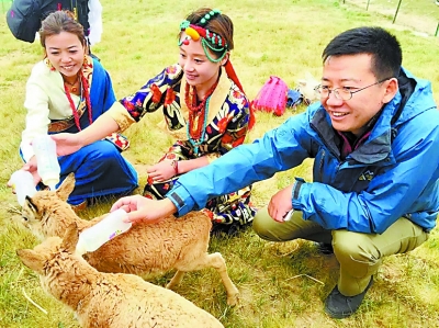 眭禄的新使命|藏羚羊|可可西里