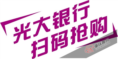 中国银行收入证明模板_中国光大银行收入(2)