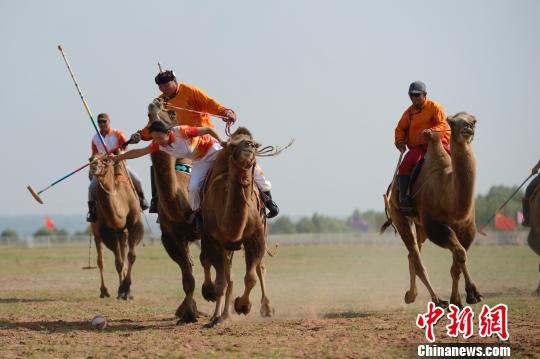 第十届民族运动会:驼球首次参赛|进球|球员