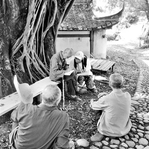 七十多年前，不少爱国人士在这棵大榕树下讨论如何抗日救国；七十多年后，刘佛柱老人（中）在树下向记者讲述那段抗战岁月