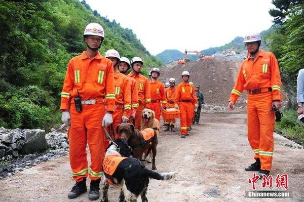 陕西山体滑坡救援现场 救援队携搜救犬进场搜