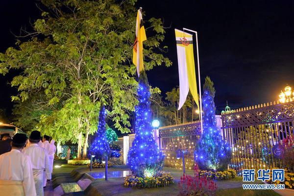 文莱努洛伊曼王宫庭院内火树银花。 （报道员杰弗里·黄摄）