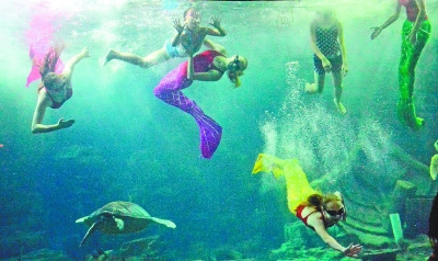 与美人鱼相伴 学游泳|美人鱼|东湖