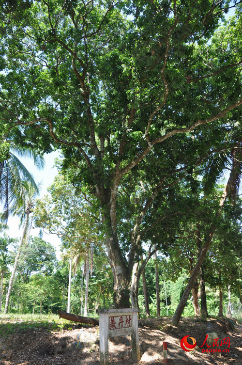 李良的家乡美丹村