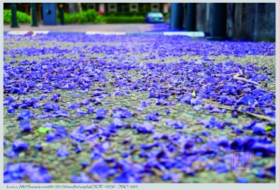 出国看看 世界有多大|游客|旅游