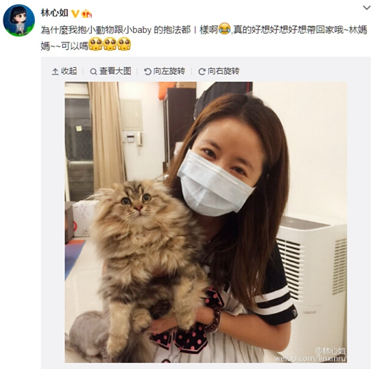 <em>林心如怀抱猫咪</em>露微笑:好想好想带回家哦(组图