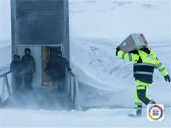 　　图为工作人员把盒装的种子搬进斯瓦尔巴全球种子库（图片来自互联网）