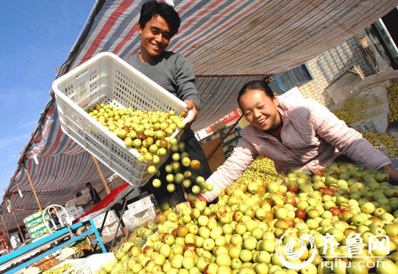 沾化冬枣走向国际 出口迪拜、新加坡创汇200多