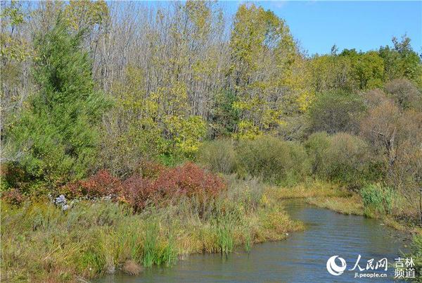27日，长春净月潭风景区内，河溪潺潺，绿林静谧，一派醉人好风光。张帅 摄