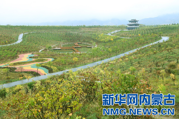 改造后的哈拉沁沙坑 李倩摄