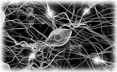 桂冠奖得主浮出水面