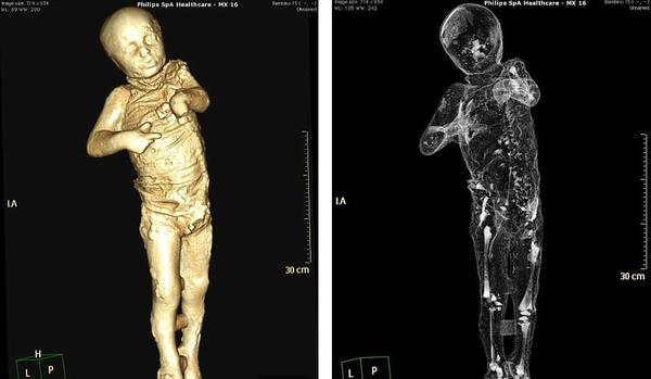 考古学家们利用过去一年的时间，在仔细修复和扫描了86具在庞贝古城中发现的遇难者遗体后公布了首批扫描结果。（网页截图）