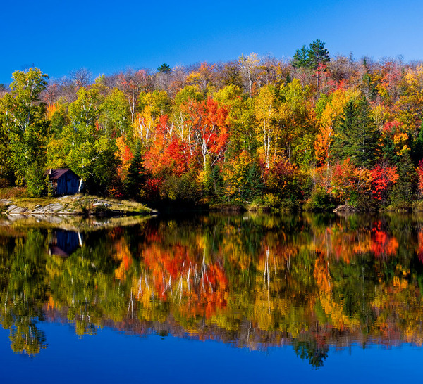 加拿大秋景（网页截图）