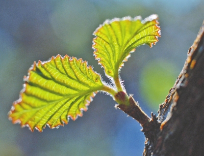 招商银行郑州分行开展第四届小微企业金融服