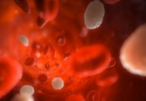 抗癌有望?日本开发高效收集血液癌细胞的技术