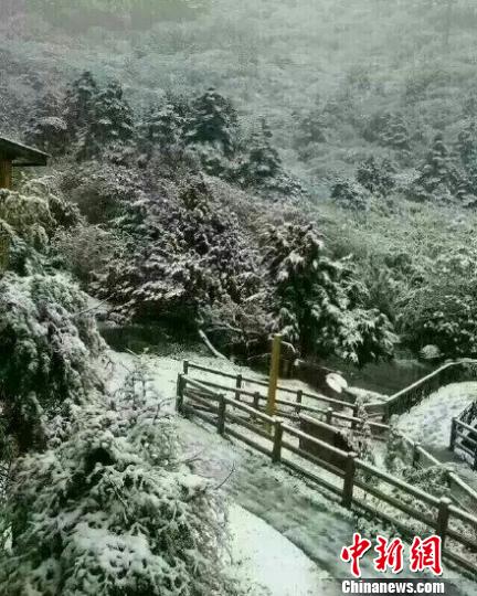 轿子雪山雪景。　网络图摄