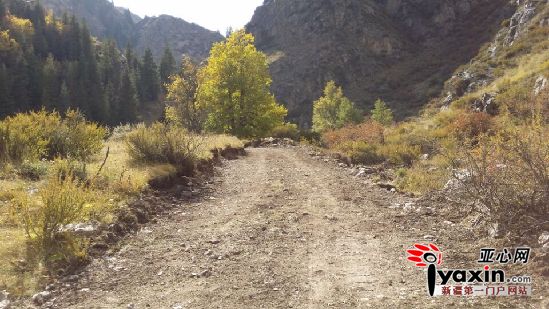 施工完的牧道路面得到了平整