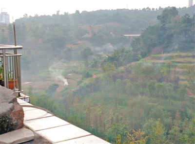 在金色大地小区楼顶上，可以看见村民正在烧草。见习记者 江亚蔓 摄