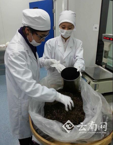 庄园制茶体验馆