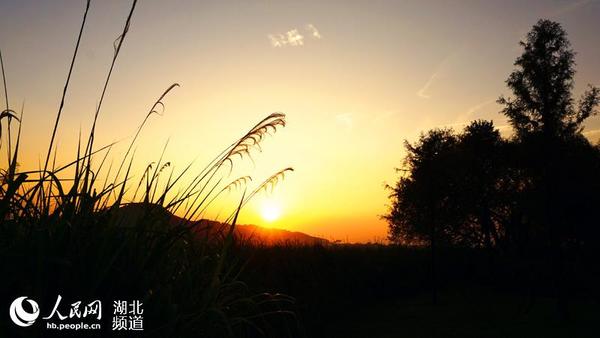 秋日夕阳下的剪影