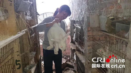 　陈大姐养兔场里的大兔子　