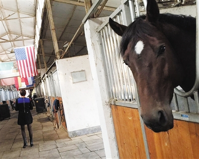 学马术8岁女童坠亡 教练马场被诉|北京队|教练