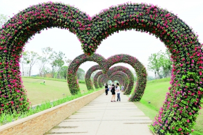 浪漫花海 天赐良园|生态|摄影