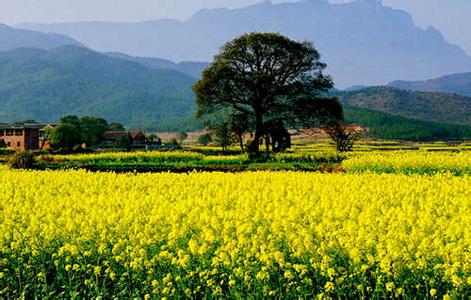 践行绿色生活 河北迈向生态文明建设新时代|城